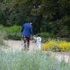 Image 7: Explore Rare Native Plants at California Botanic Garden