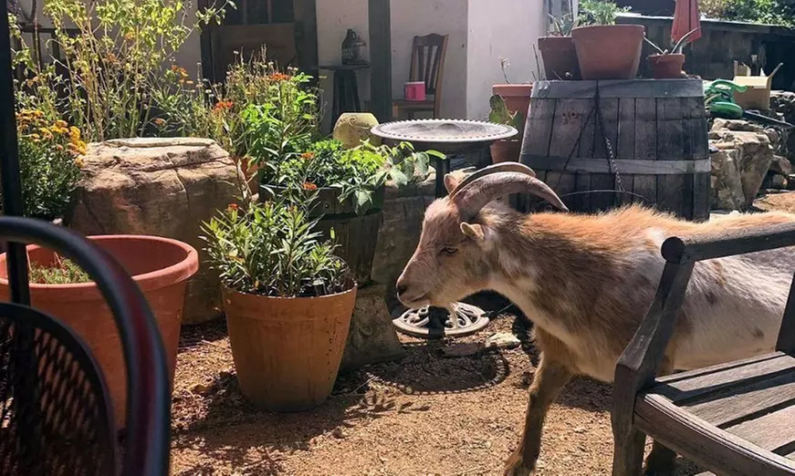 Enjoy Barrel Tasting and Winery Tour for Two, Four or Six