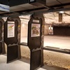 Image 2: Shooting range packages for 1, 2, or 4 people with all-day passes