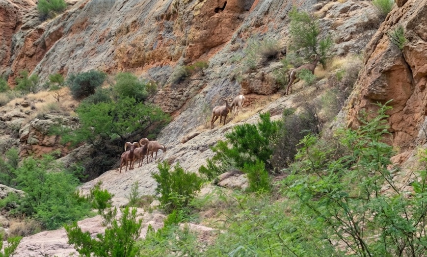 Image 2: 3-Hour ATV Tour – Box Canyon Adventures Florence


