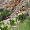 Image 2: 3-Hour ATV Tour – Box Canyon Adventures Florence


