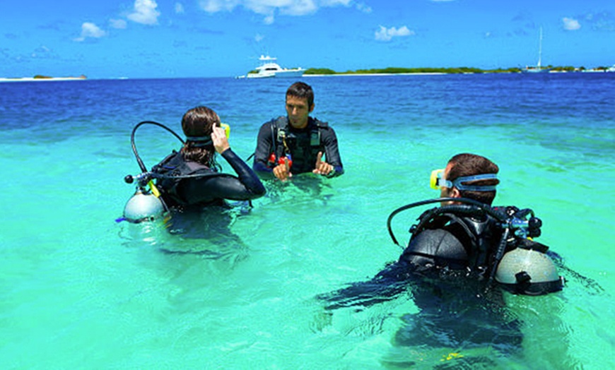 Image 4: Up to 12% Off 1-Day Round-Trip Bimini Ferry with Transportation