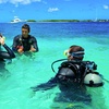 Image 4: Up to 12% Off 1-Day Round-Trip Bimini Ferry with Transportation