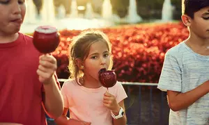 Canada's Wonderland: Fall Adventures- Coasters, Kid Zones & Family Fun