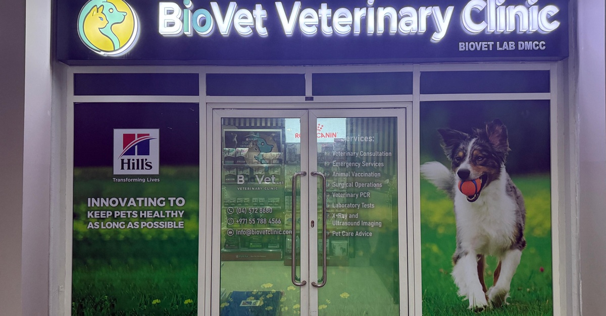 Pet Grooming Packages + Bath Styling & Care For Small To Xlarge Pets Pet Grooming Packages + Bath Styling & Care For Small To Xlarge Pets