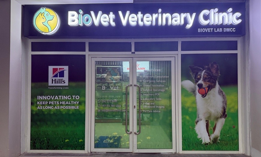 Image 6: Pet Grooming Packages + Bath Styling & Care for Small to XLarge Pets