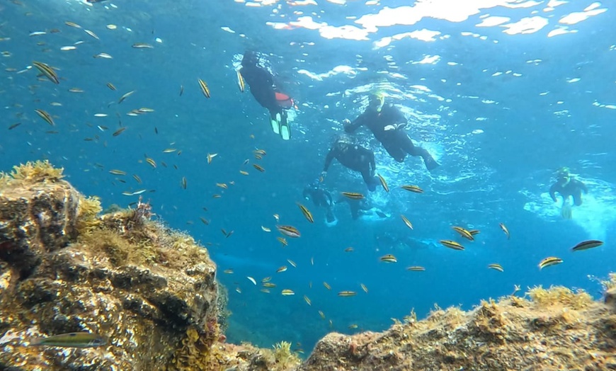 Image 1: Experiencia de snorkel con equipamiento y fotos para 1, 2 o 4 personas