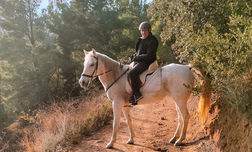 Image 3: Experiencia a caballo para 1 o 2 en Mussara Equitació Emocional