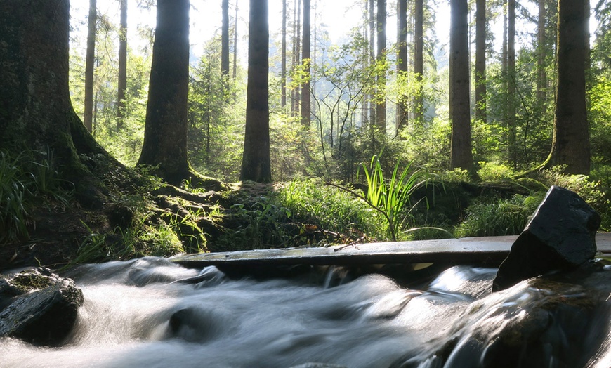 Image 6: 5 Tage Yoga-Retreat im Teutoburger Wald