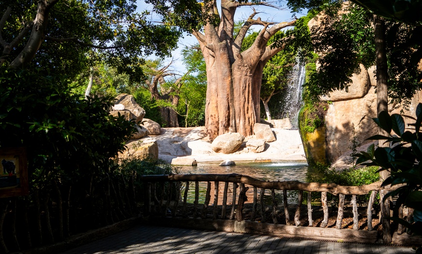 Image 11: ¡Descubre la selva en Valencia! Entrada para adulto o niño en Bioparc