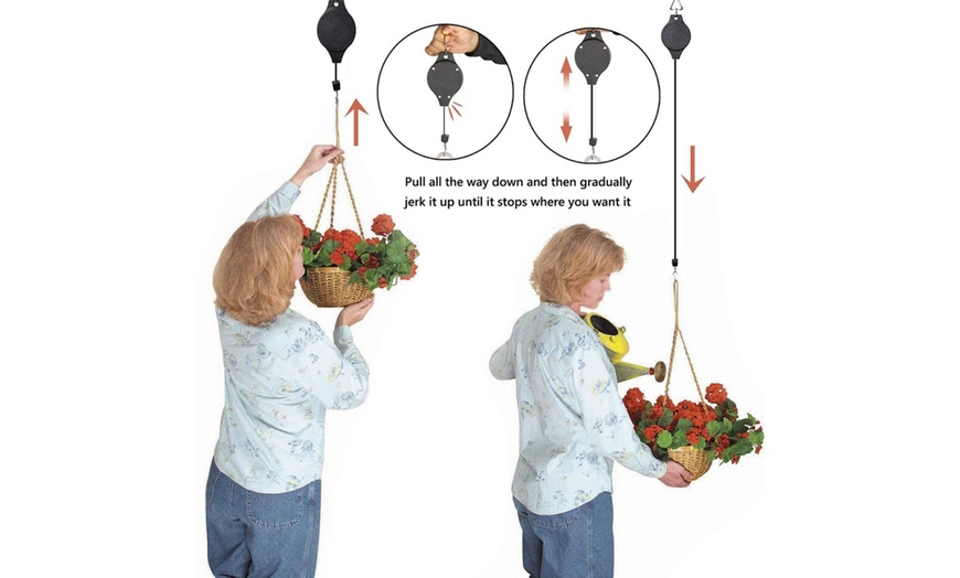 Image 5: Plant Hanging Hook