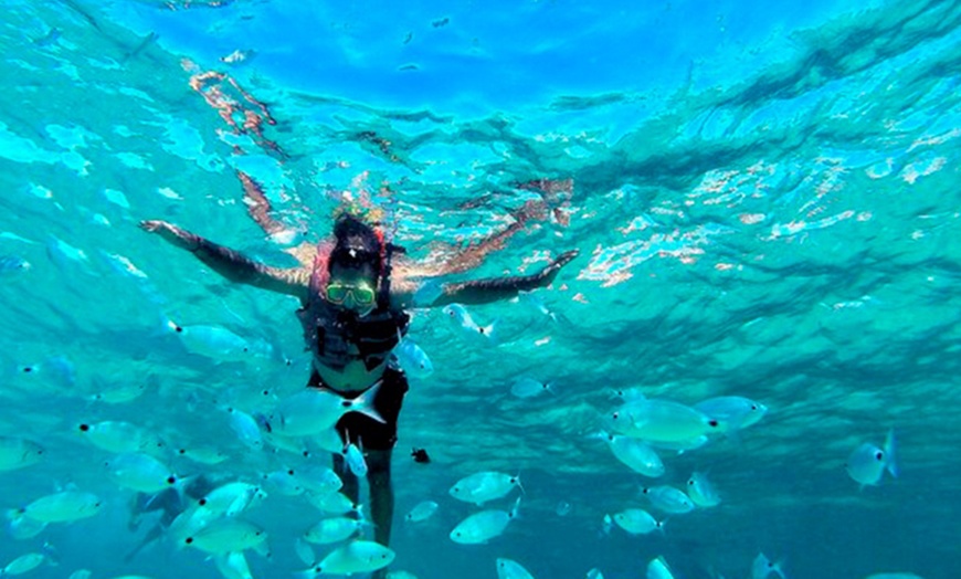 Image 10:  Tour a Portitxol en catamarán de 4:30 horas con comida y baño 