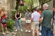 Charleston Historic Downtown Food Tour, Up to 26% Off - Second Medium