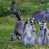Image 18: Balade nature et biodiversité à deux pas de Paris