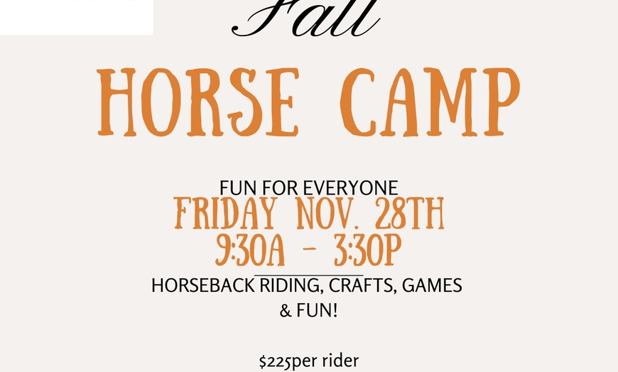 Image 7: Private Horseback Riding Lessons at SNS Equine