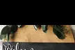 Unleash Your Inner Artist: Create a Personalized Wood Sign at Sweet Hydrangea Boutique - Second Medium