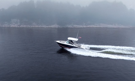 Sea & Sky Sunset Tour - 2 Hours - Find Your Way Charters - Yarmouth