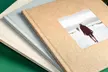 Photobook Exclusive in A4 Portrait or Landscape Format 100 to 140 Pages from Colorland (Save up to 75% Off) - Second Medium