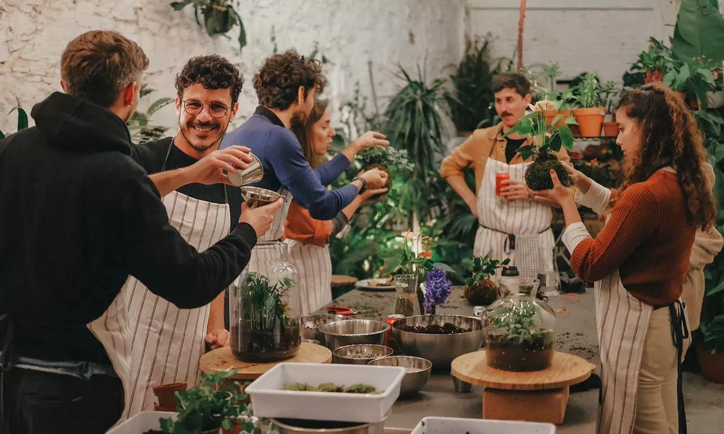 Taller de Kokedama o cuidado de plantas para 1 o 2 personas