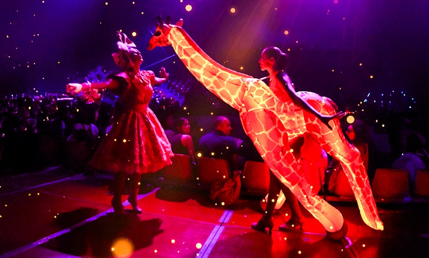 Image 6: Circo de la Luz: entrada del 24 de octubre al 8 de diciembre en Madrid