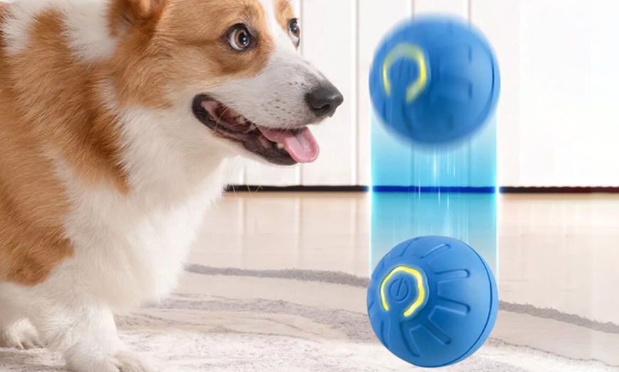 Image 10: Vibrating Ball For Pet