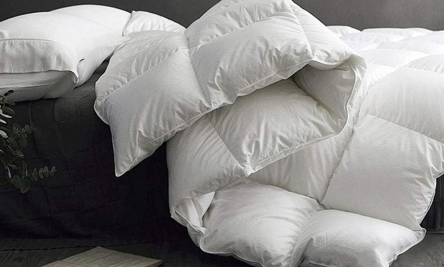 Image 3: Couette chaude 50% duvet et 50% plumes de canard, 290 g/m². Sampur