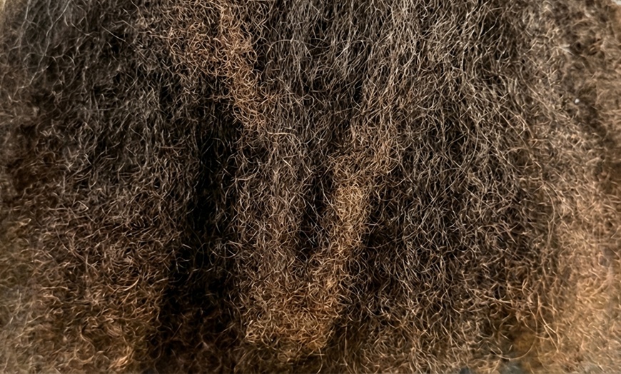 Image 3: Get Smooth Hair with Nanoplasty Hair Treatment and Trim or Cut