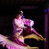Image 8: Entrada a espectáculo flamenco para 2 o 4 personas con consumición