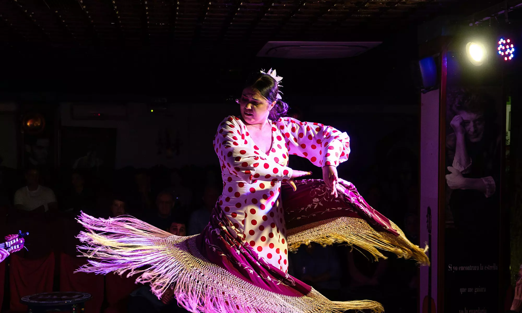 Entrada a espectáculo flamenco para 2 o 4 personas con consumición