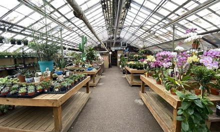 $40 Worth of Plants and Gardening Supplies - Garden World