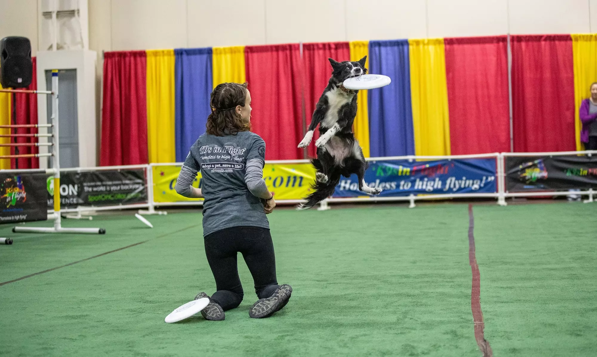 Novi Pet Expo: Michigan's Largest Pet Celebration