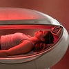 Image 2: Sculpt Pod Body Contouring and Skin Firming Session