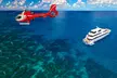Cairns: One Child, Adult or One Family Ticket for a Full Day Reef Cruise and Lunch with Down Under Cruise and Dive - Second Medium