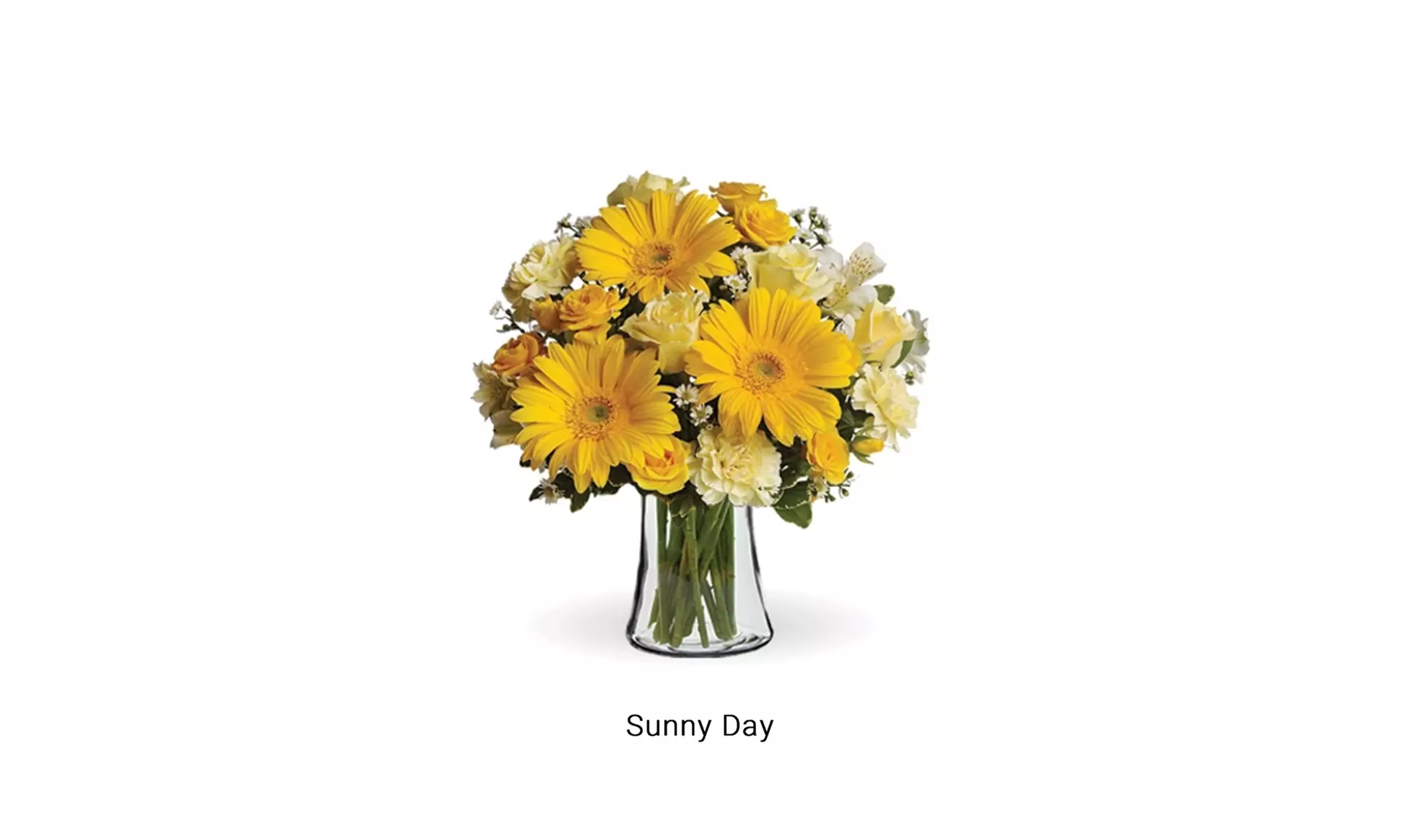 Spread Cheer with Get Well Flower Bouquets from Blooms Today Up to 17% Off