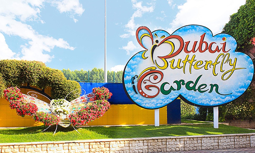 Image 5: Discover Vibrant Colors w/ Dubai Butterfly Garden Pass:1, 2,/ 4 Adults