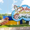 Image 5: Explore Dubai's Butterfly Garden with Pass for One, Two or Four Adults