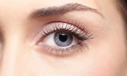 One Eyebrow Lamination plus TINT "custom color" - Cool Indulge