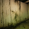 Image 1: Comprehensive Home Wellness Packages: Mold, Air Quality & Dryer Safety