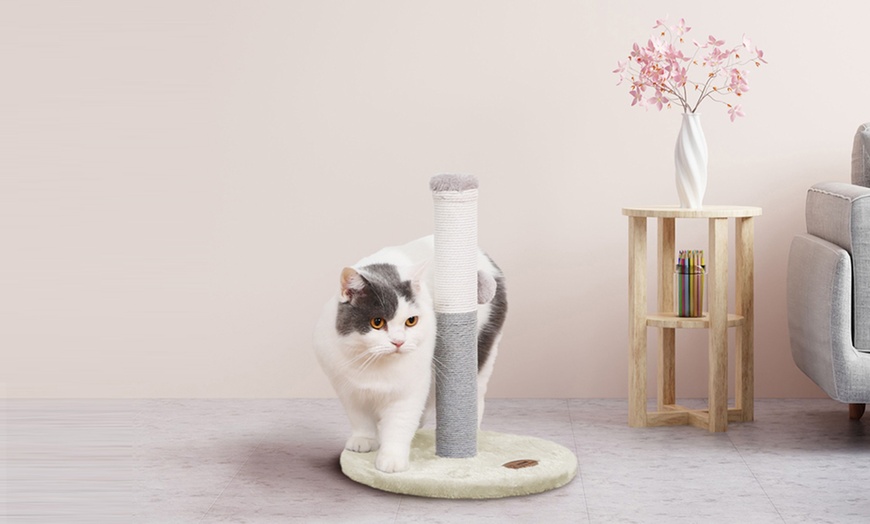 Image 59: Griffoir pour chat