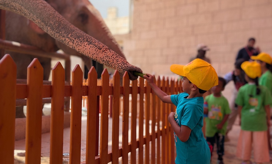 Image 6: 1 or 2 Week Animal Discovery & Activities Winter Camp