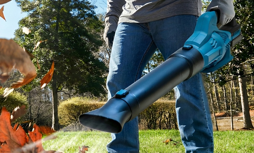 Image 6: Soffiatore professionale senza fili per la cura del giardino