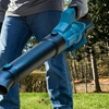 Image 6: Soffiatore professionale senza fili per la cura del giardino