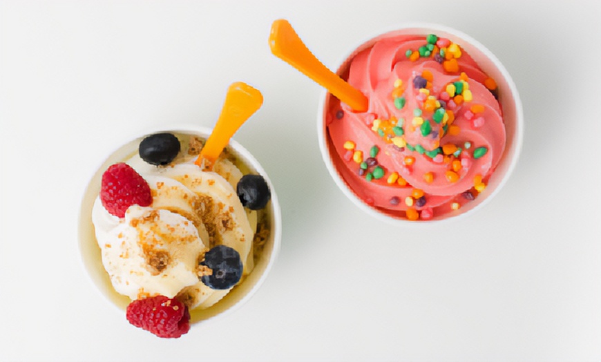 Image 2: Satisfy Your Cravings: $10, $20, $50 or $100 Worth of Frozen Yogurt