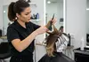 Enhance Your Hair with Haircut + Blow Dry with Optional Highlights (Full/Partial) or Color (Up to 53%Off)