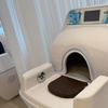 Image 20: Head Spa, Scalp Analysis & Massage for One or Two at W.E Scalp Care