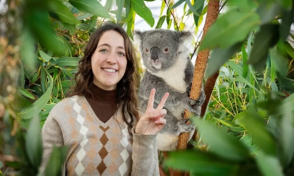 Visit any 3 Top Attractions: Sea Life Sydney, Madame Tussauds & More