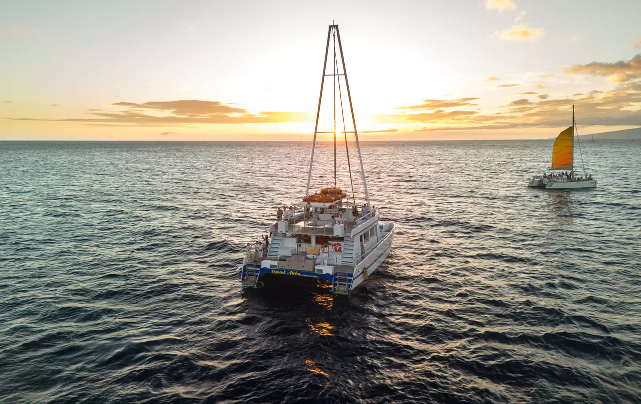 What to expect media