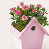 Image 5: ProFlowers: Same-Day Live Plants for Life's Special Moments (Up to 45% Off)
