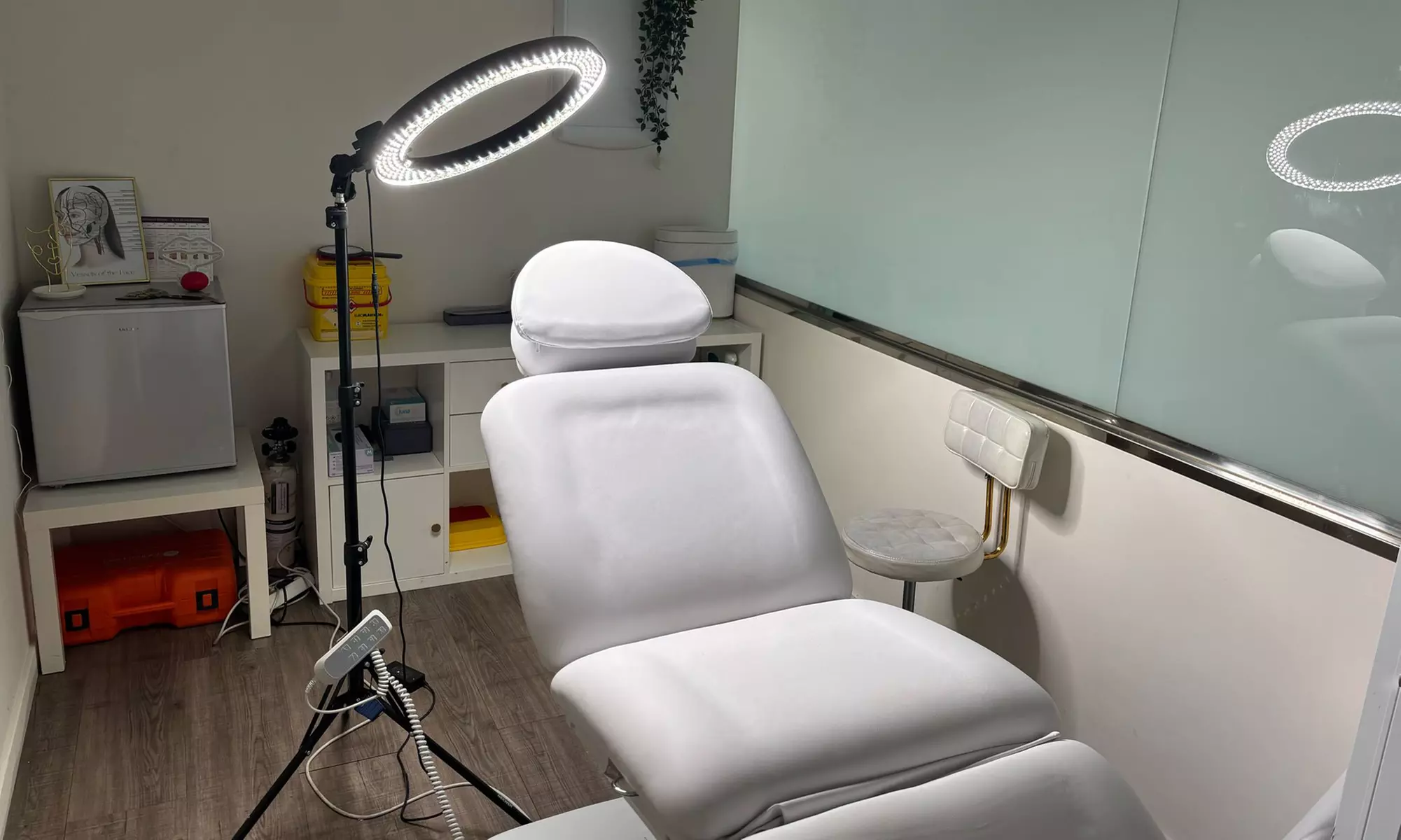 1 o 2 sesiones de tratamiento facial inyectado con polinucleótidos