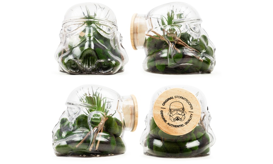 Image 3: Storm Trooper Terrarium and Cookie Jar
